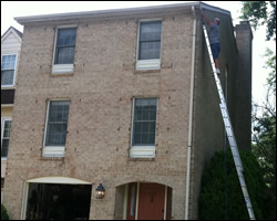 Bat exclusion in Great Falls VA