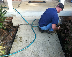 Dead animal removal Great Falls VA